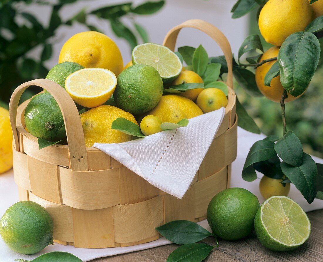 Small basket of lemons and limes