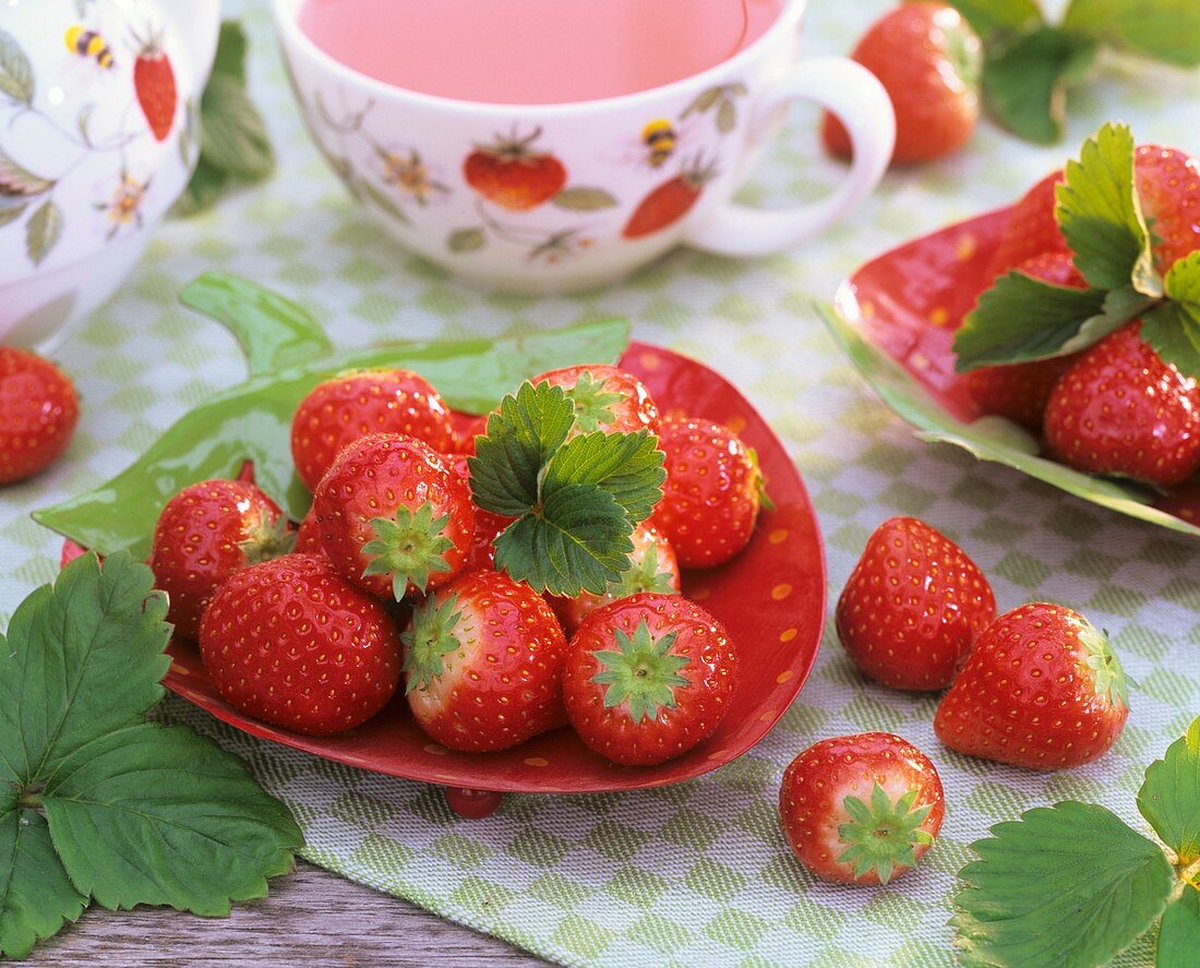 Frische Erdbeeren auf einem Erdbeer-Teller und Tee