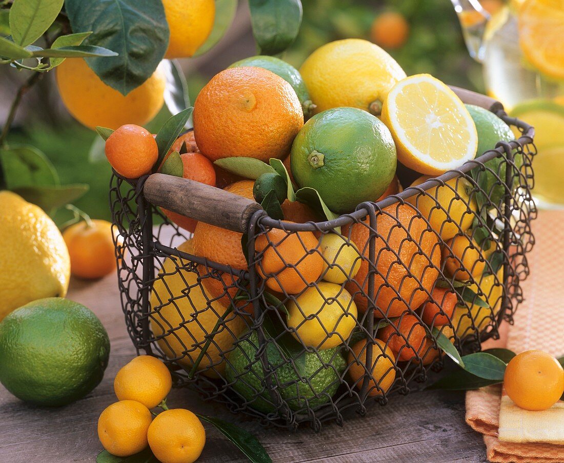 Basket of assorted citrus fruit out of doors