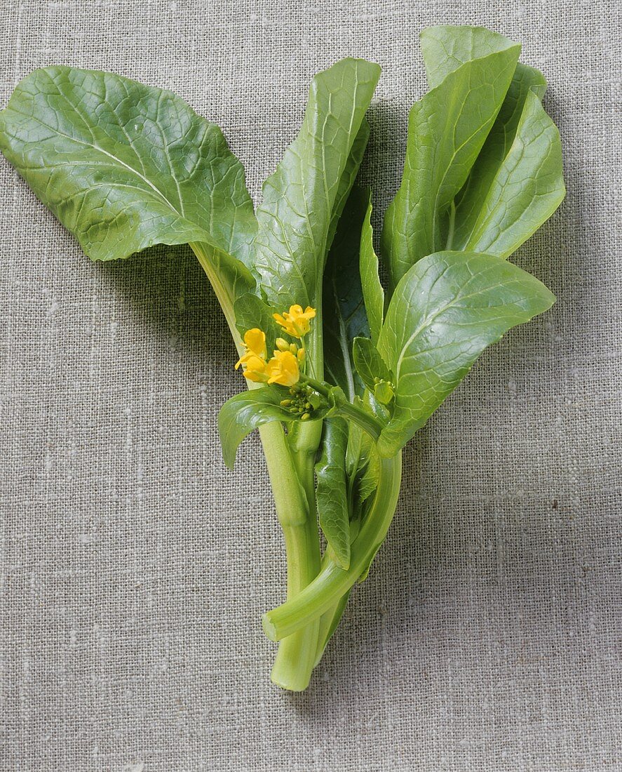 Choi sum (Chinese greens) with flowers