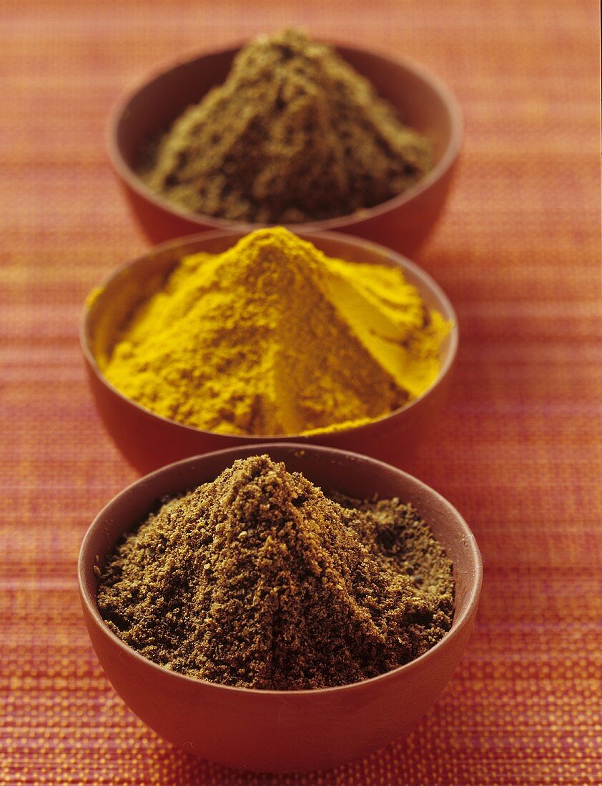 Ras El Hanout, Madras-Curry und Garam Masala in Schälchen