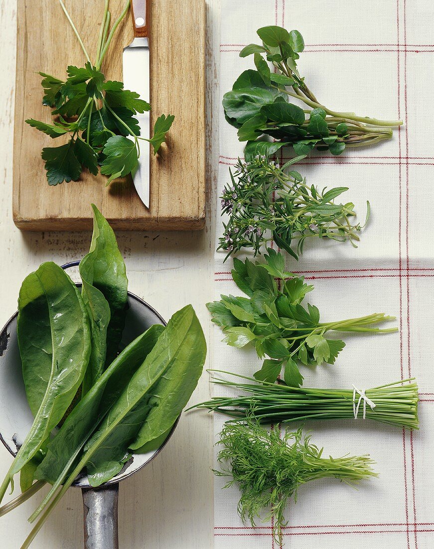Herb still life with seven different herbs