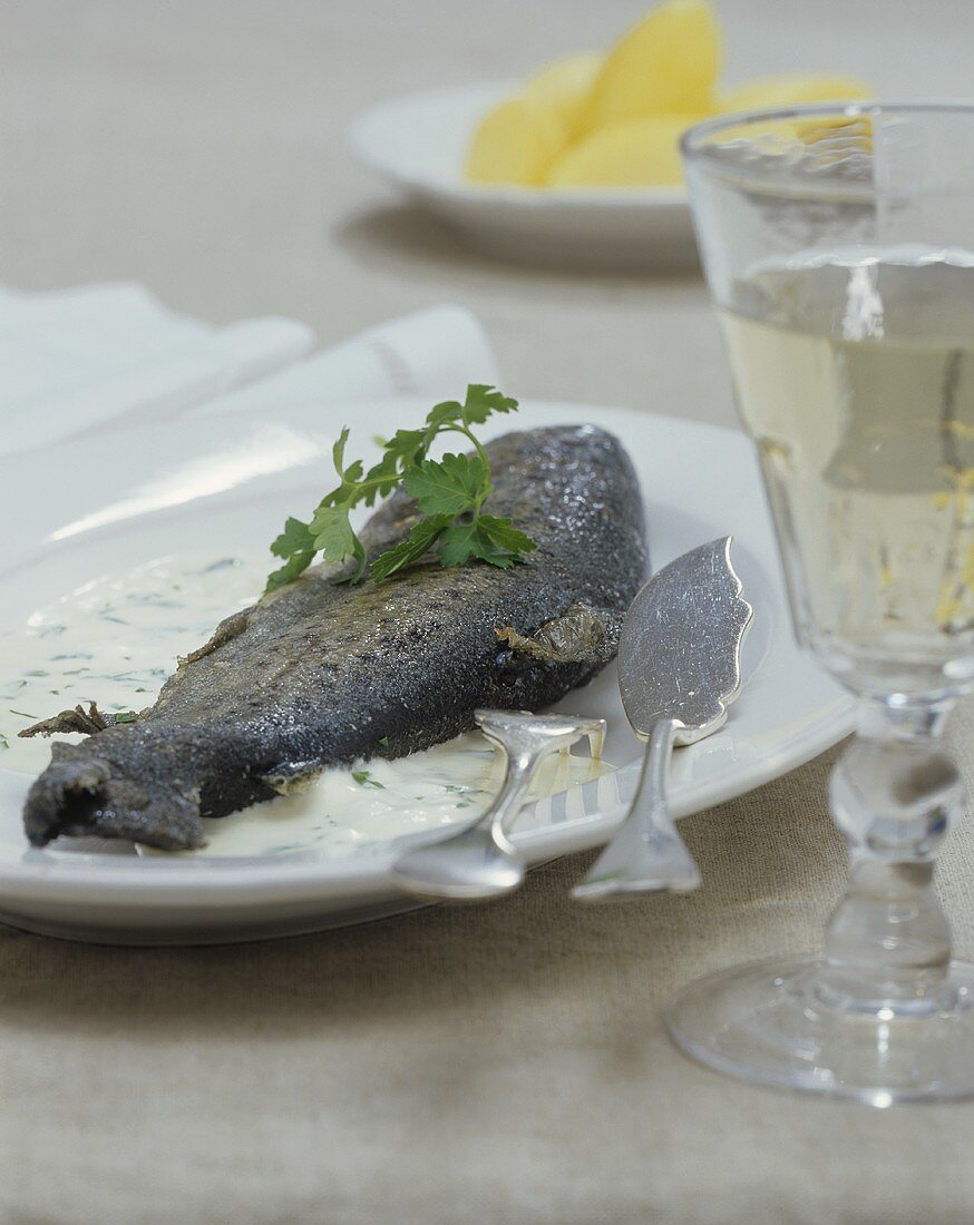 Trout Meuniere with cream sauce and potatoes