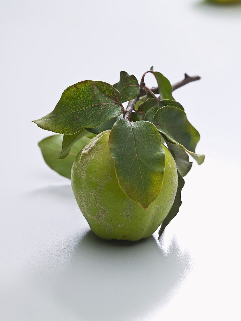 Ein Apfel mit Zweig und Blättern