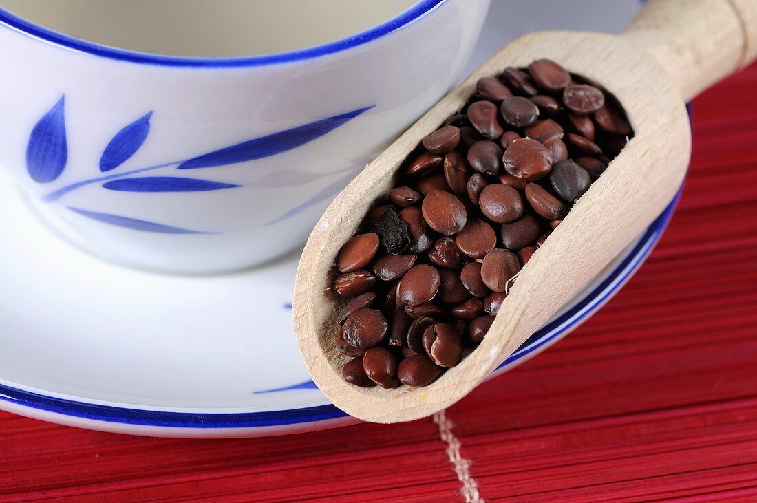 Jujube seeds (Ziziphus spinosa) with cup of tea