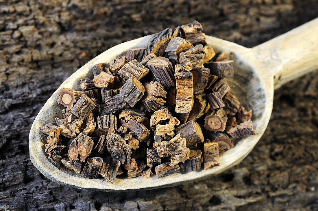 Pieces of dried gentian root on a wooden spoon