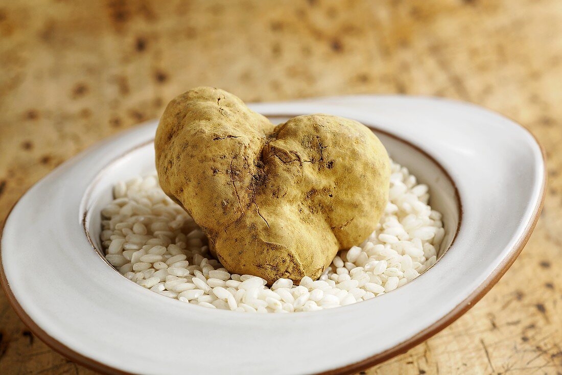 A white Alba truffle on risotto rice