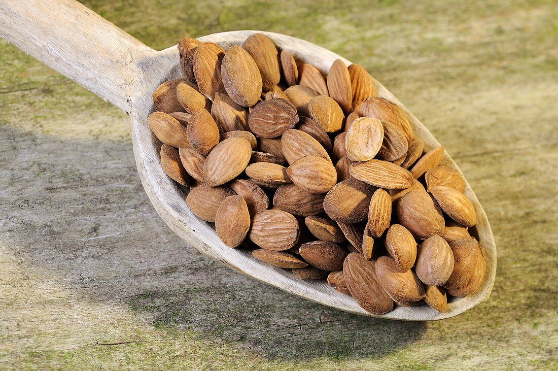 Peach seeds on a wooden spoon