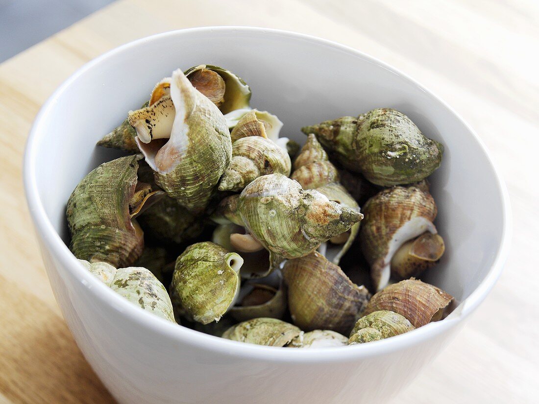 Whelks in a bowl