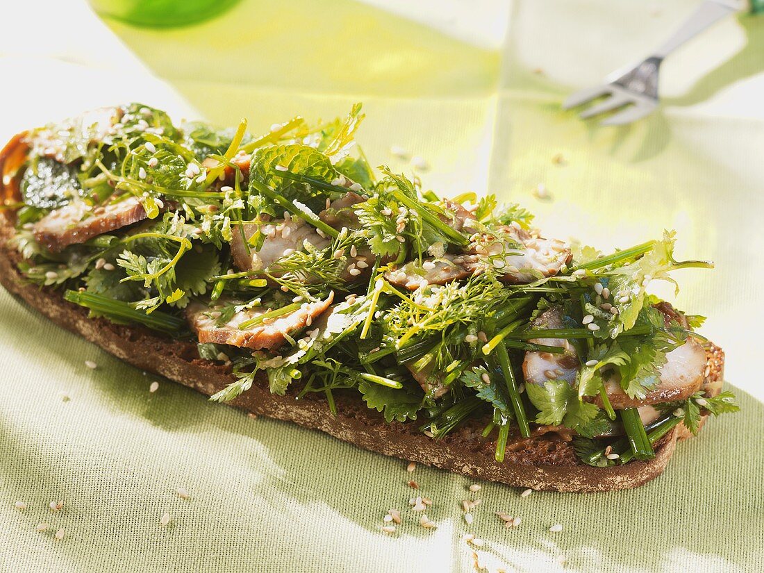 Geröstetes Brot mit Hähnchenbrust, Sesam, Koriander und Minze