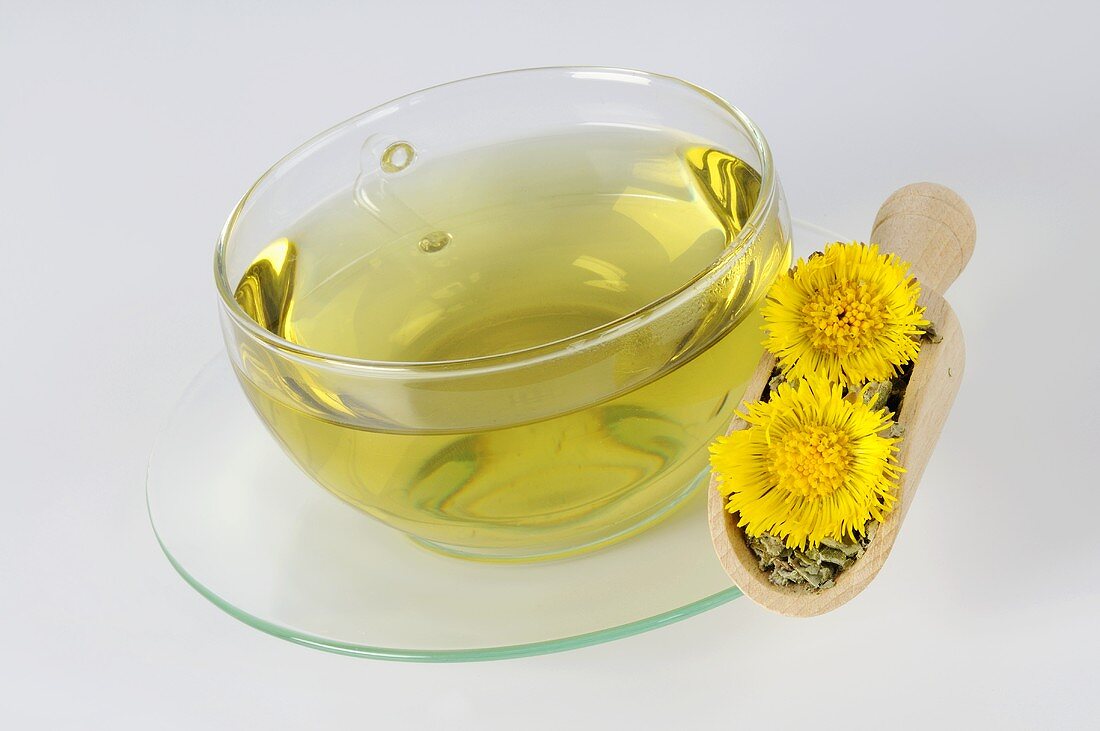 Coltsfoot tea with flowers and leaves in a wooden scoop
