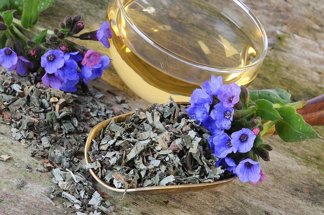 Getrocknetes Lungenkraut mit Blüten und einer Tasse Tee