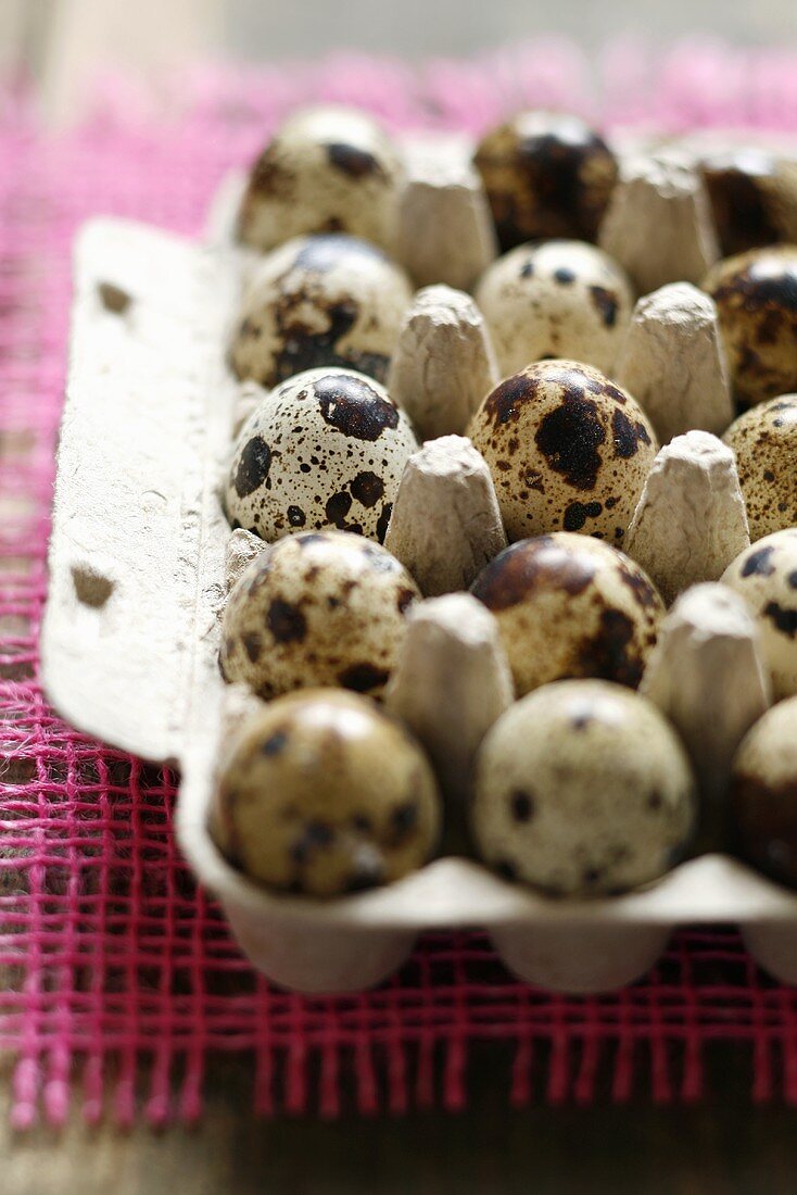 Quails' eggs in an egg box