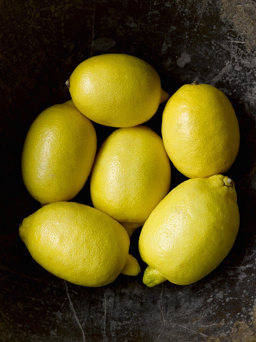 Sechs Zitronen in einer Obstschale