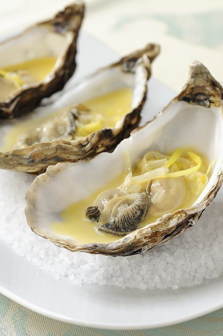 Three oysters in white wine sauce on a bed of salt