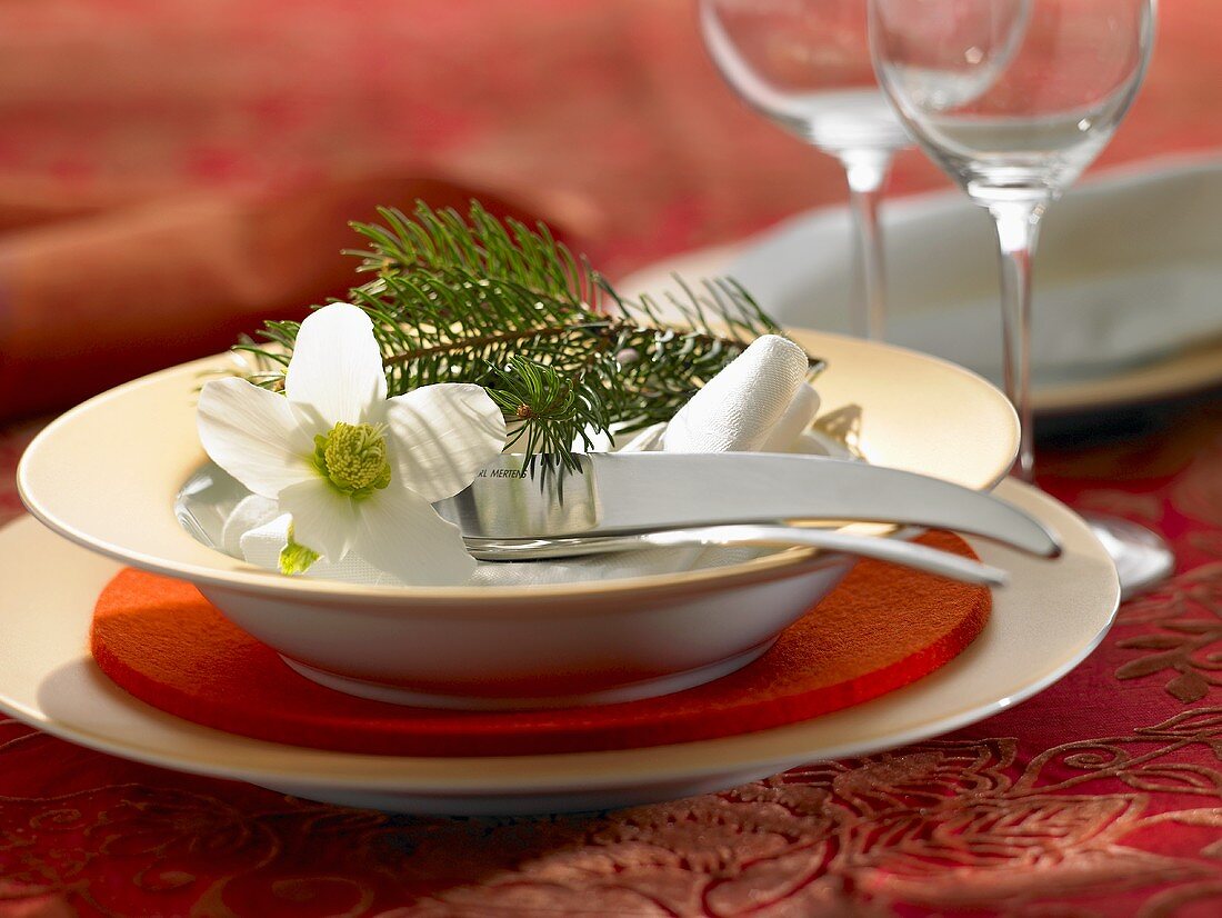 Christmas place-setting with spruce twig & flowers