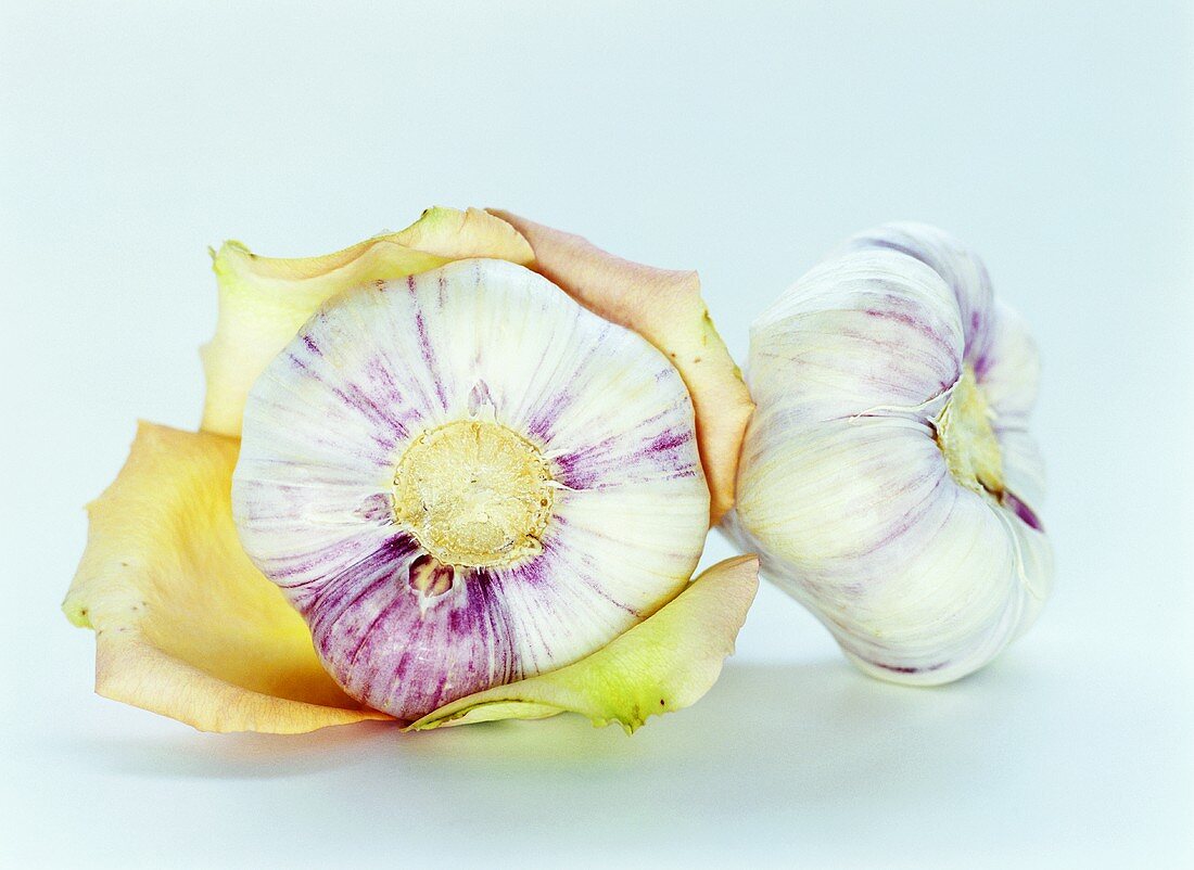 Two garlic bulbs with rose petals