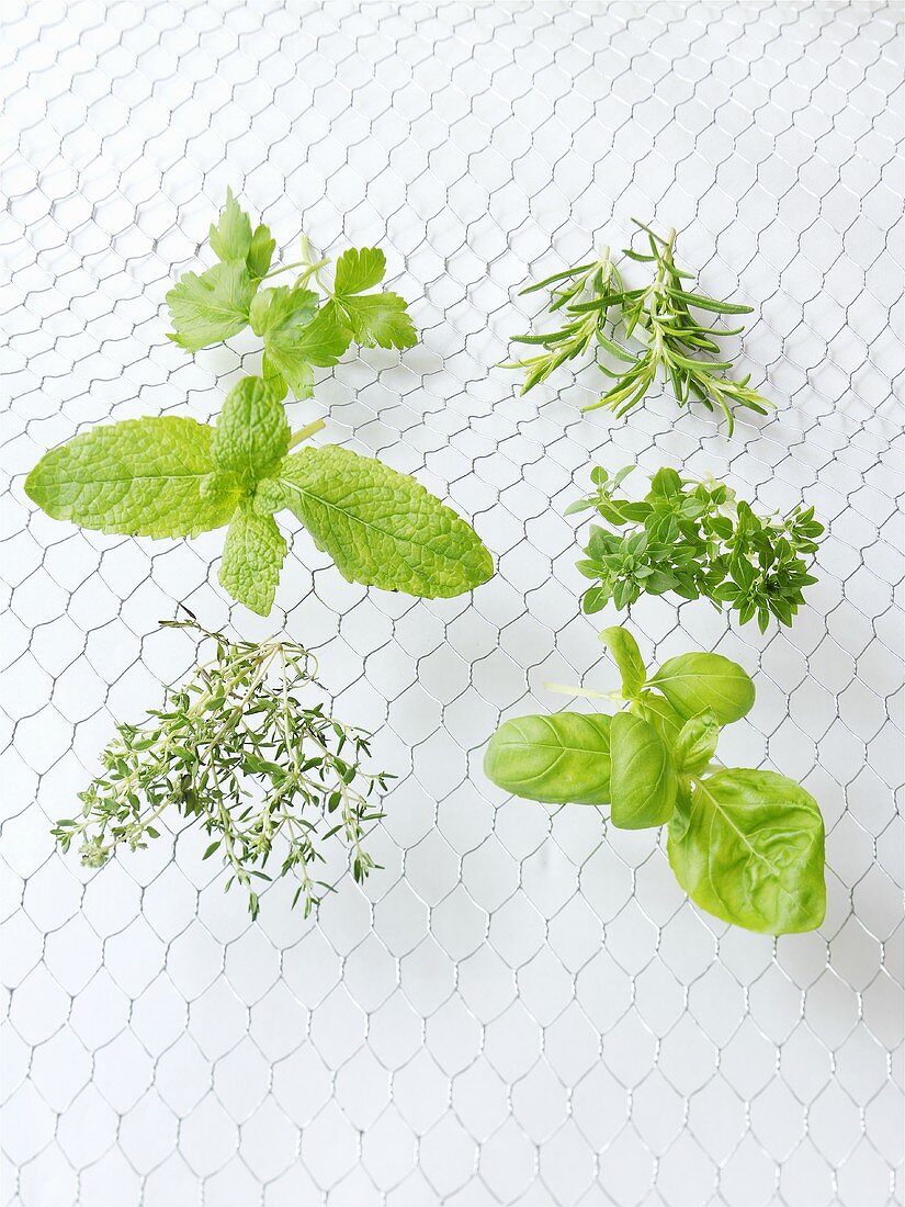 Six different herbs drying on a rack