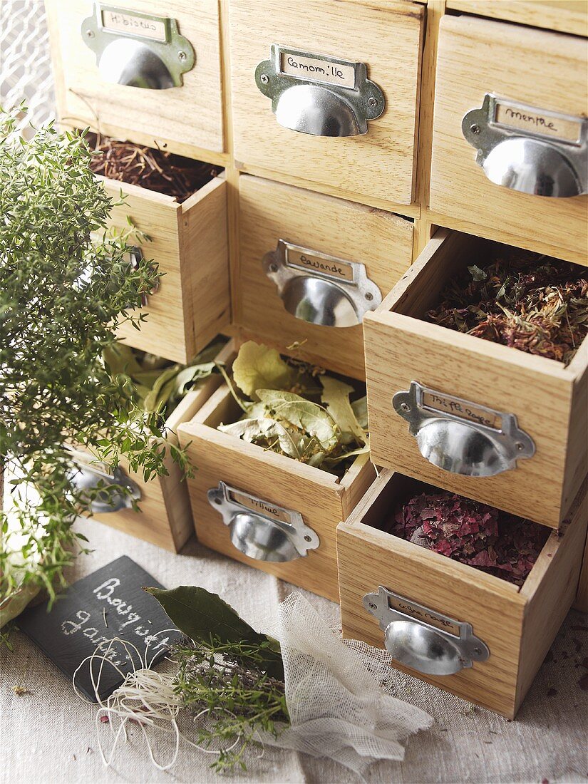 Medicinal herb cabinet with opened drawers
