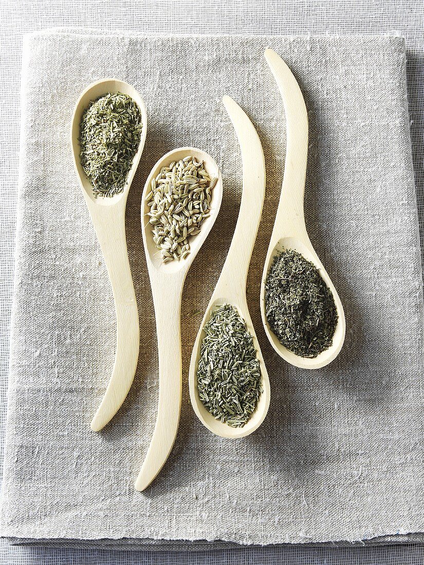 Rosemary, fennel seeds, savory, marjoram on wooden spoons