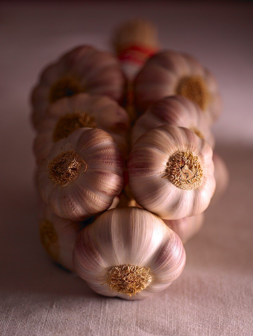 A garlic plait