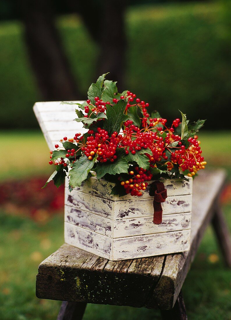 Red berries with leaves in a wooden box out of doors