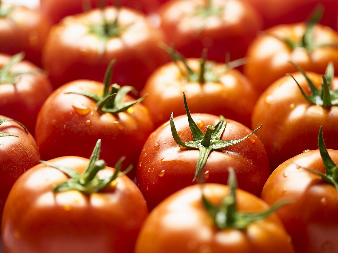 Tomatoes, full-frame