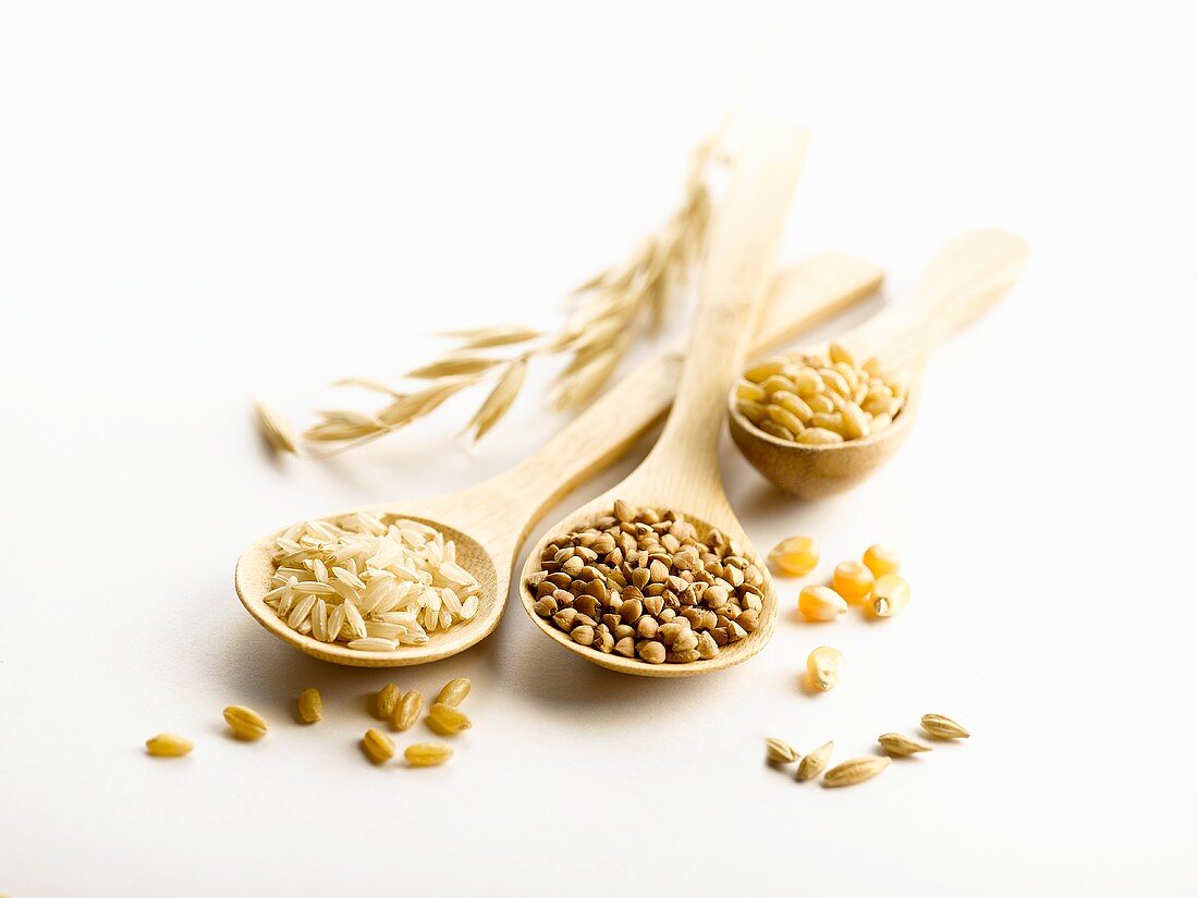 Various cereal grains on wooden spoons
