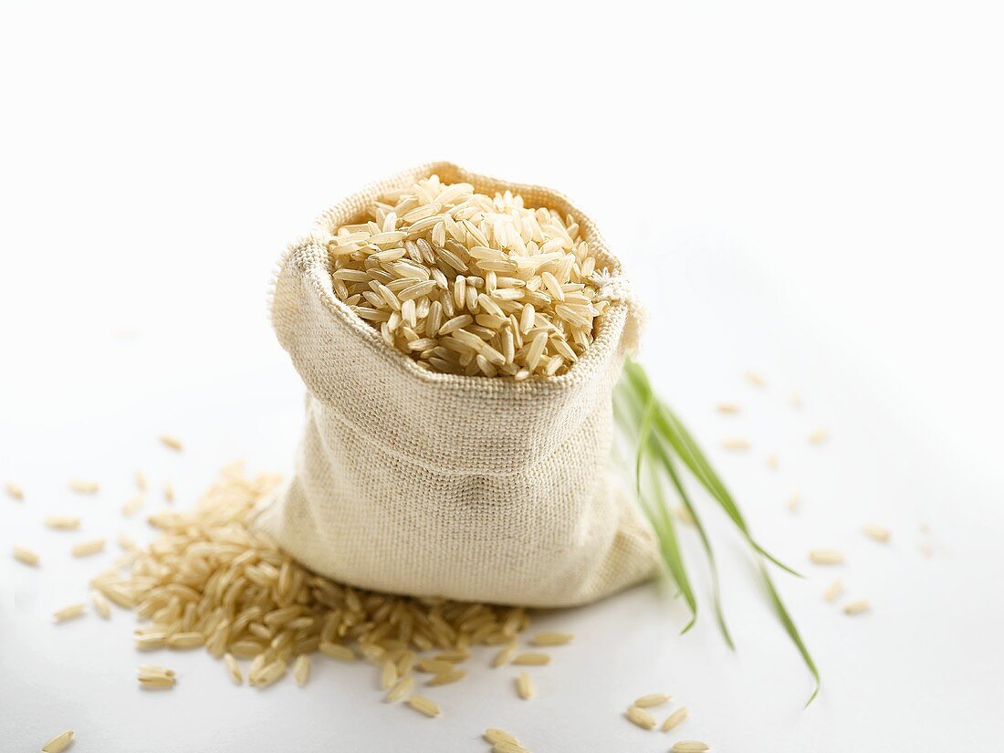 Reis in einem Säckchen und eine Reispflanze