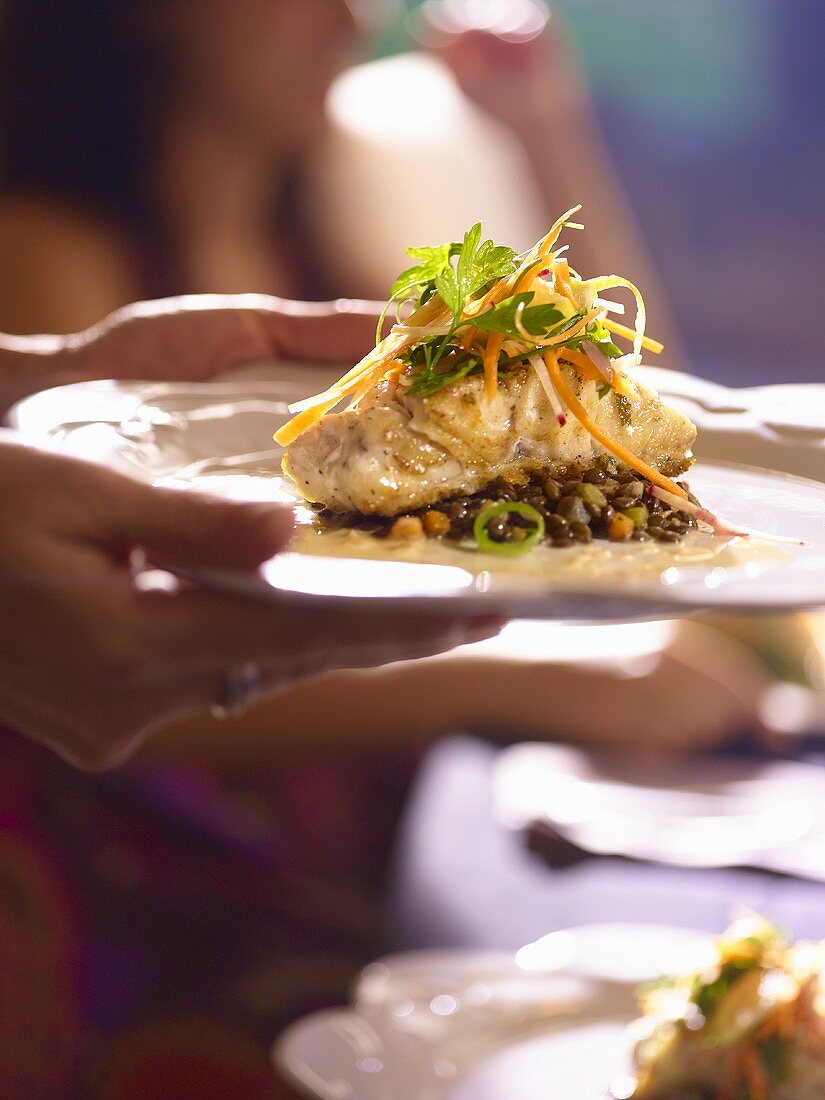Woman serving grouper on lentils with vegetables