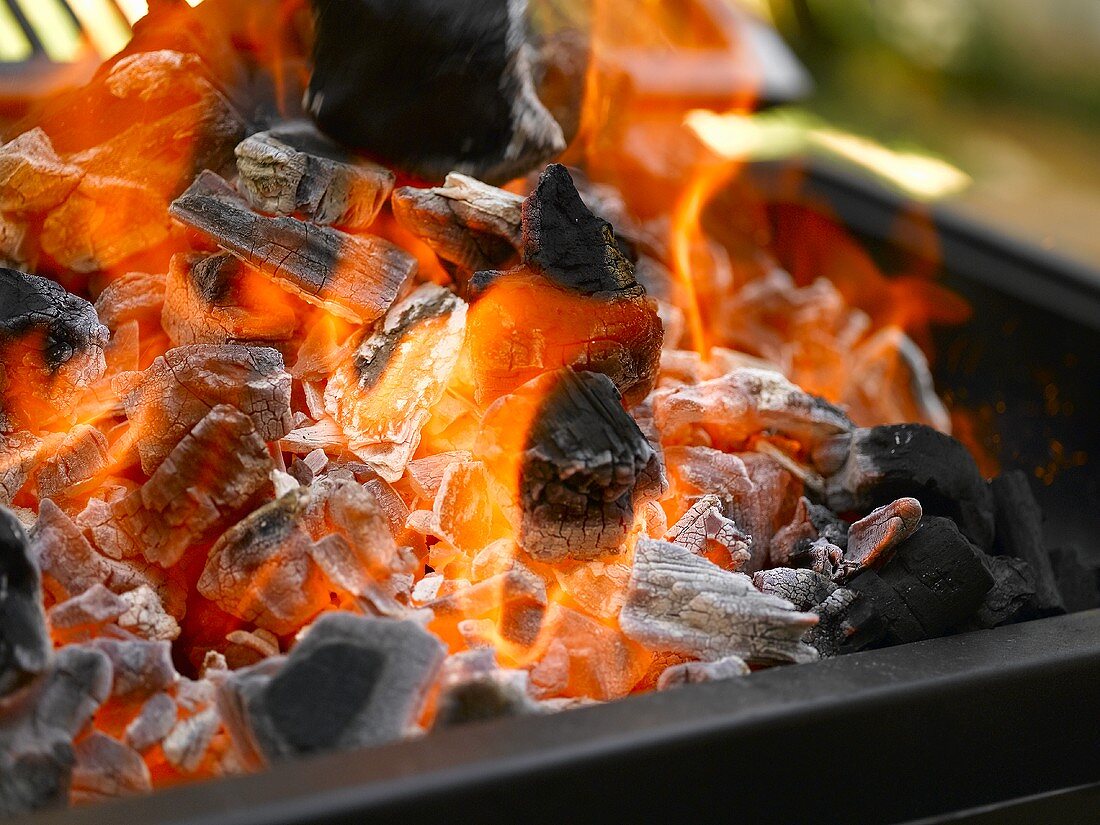 Brennende Holzkole in einem Grill