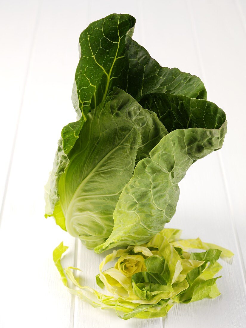 Whole and shredded pointed cabbage