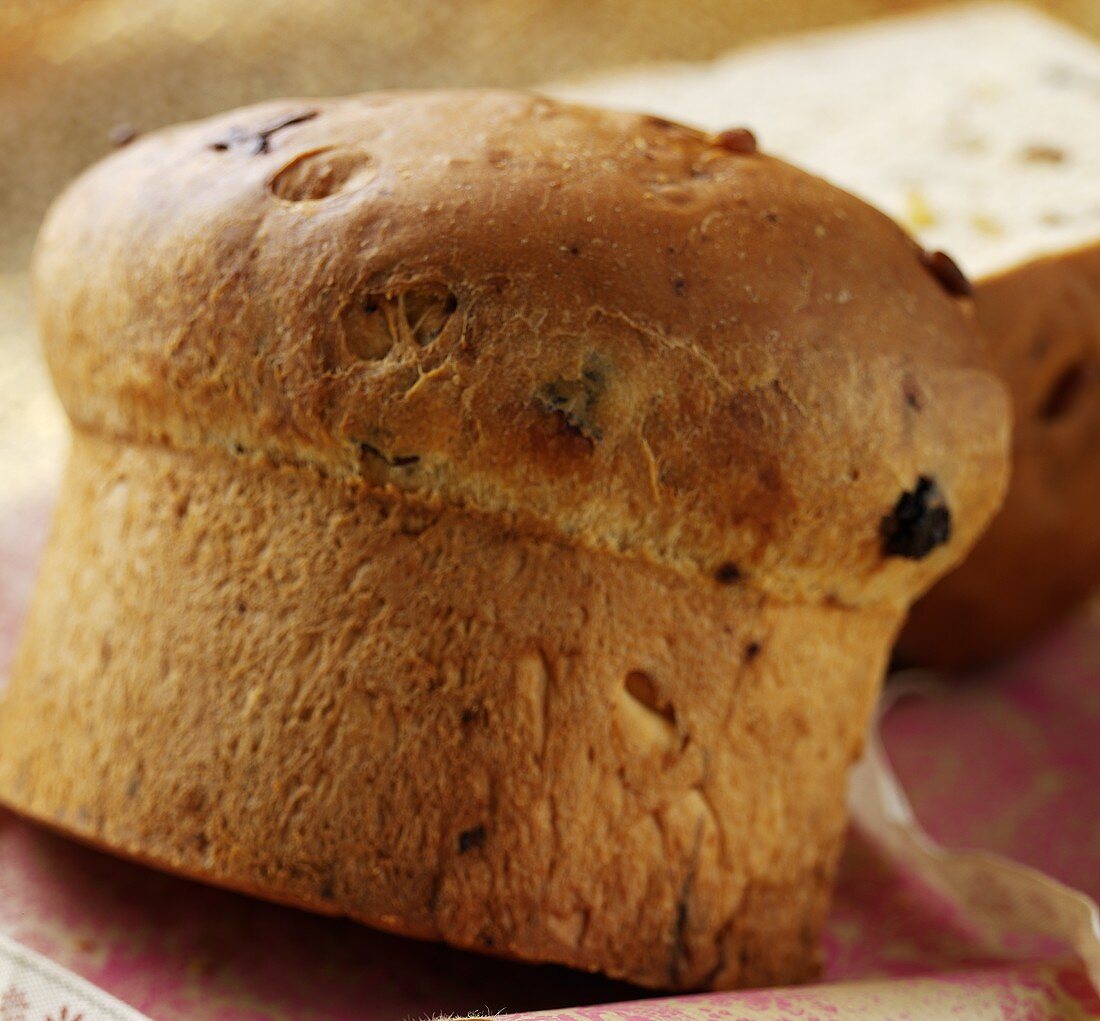 Panettone (Weihnachtshefekuchen, Italien)