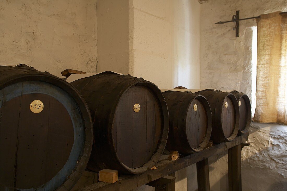 Barrels of balsamic vinegar in a cellar, Modena