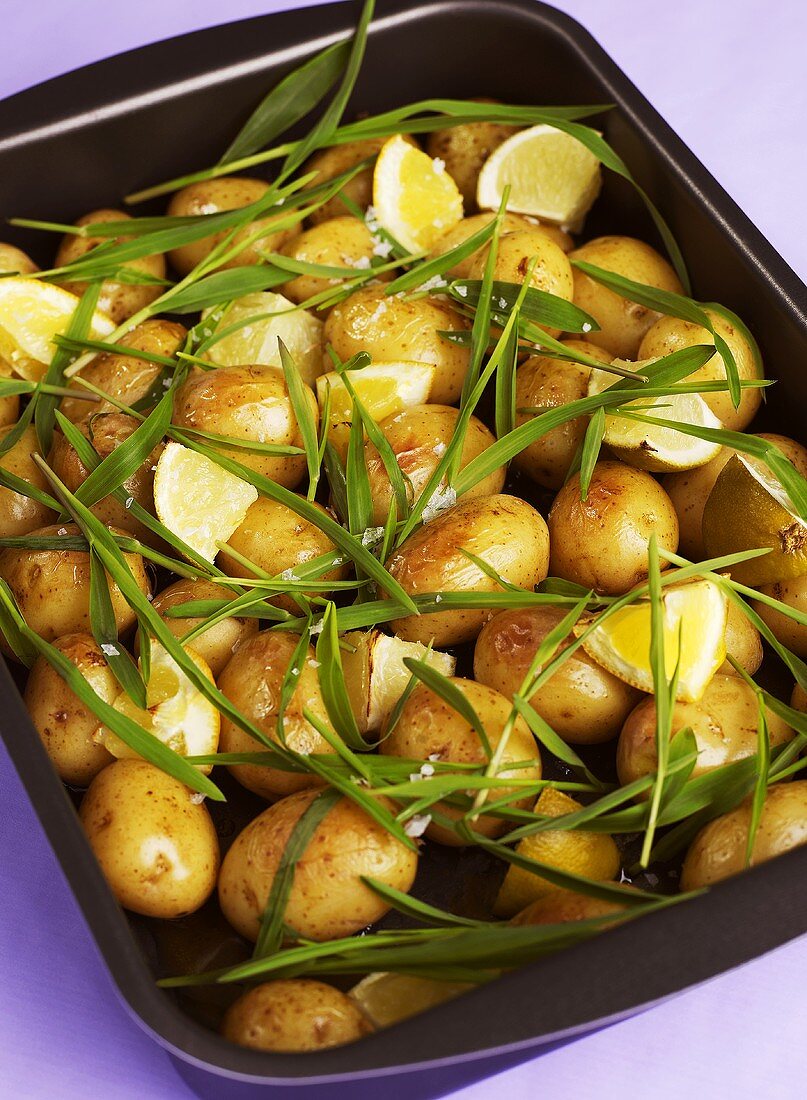 Ofenkartoffeln mit Zitronen, Meersalz und frischem Estragon