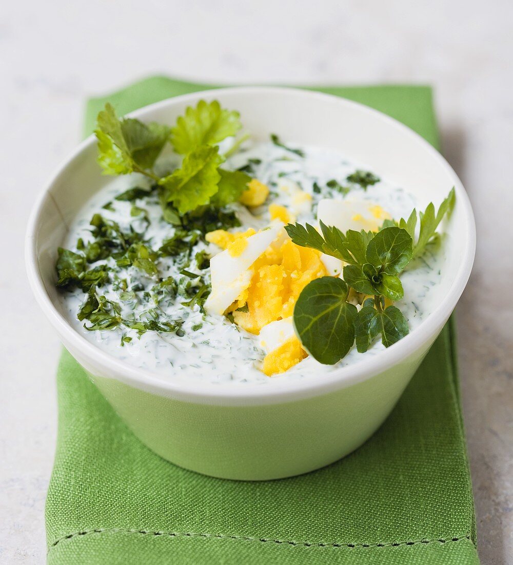 Frankfurt green sauce with herbs and egg
