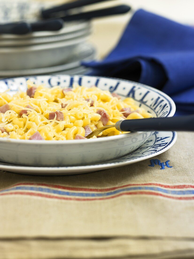 Elbow macaroni with ham and cheese