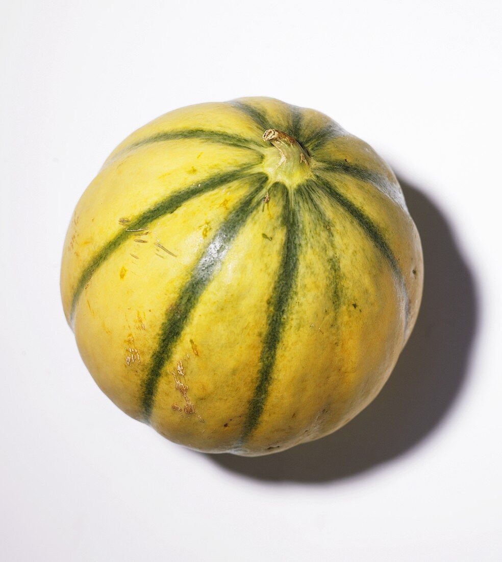 A Charentais melon