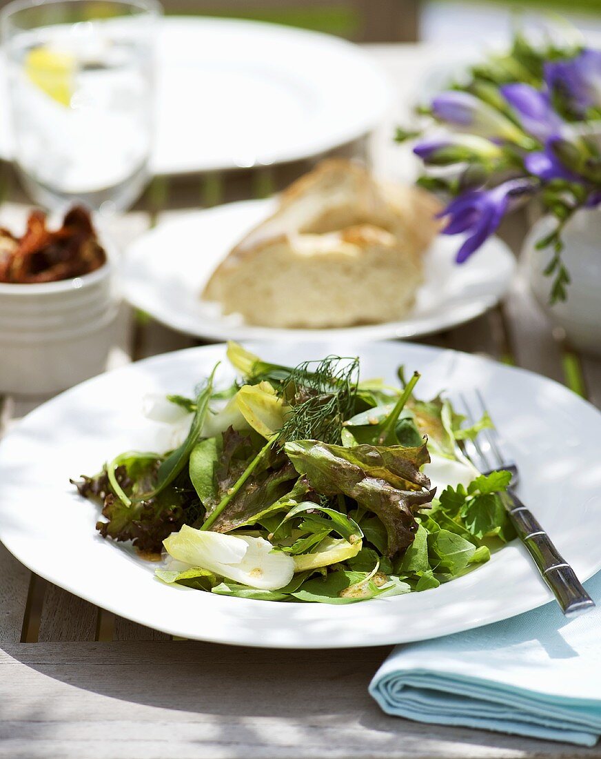 Salad leaves with herbs and balsamic vinaigrette