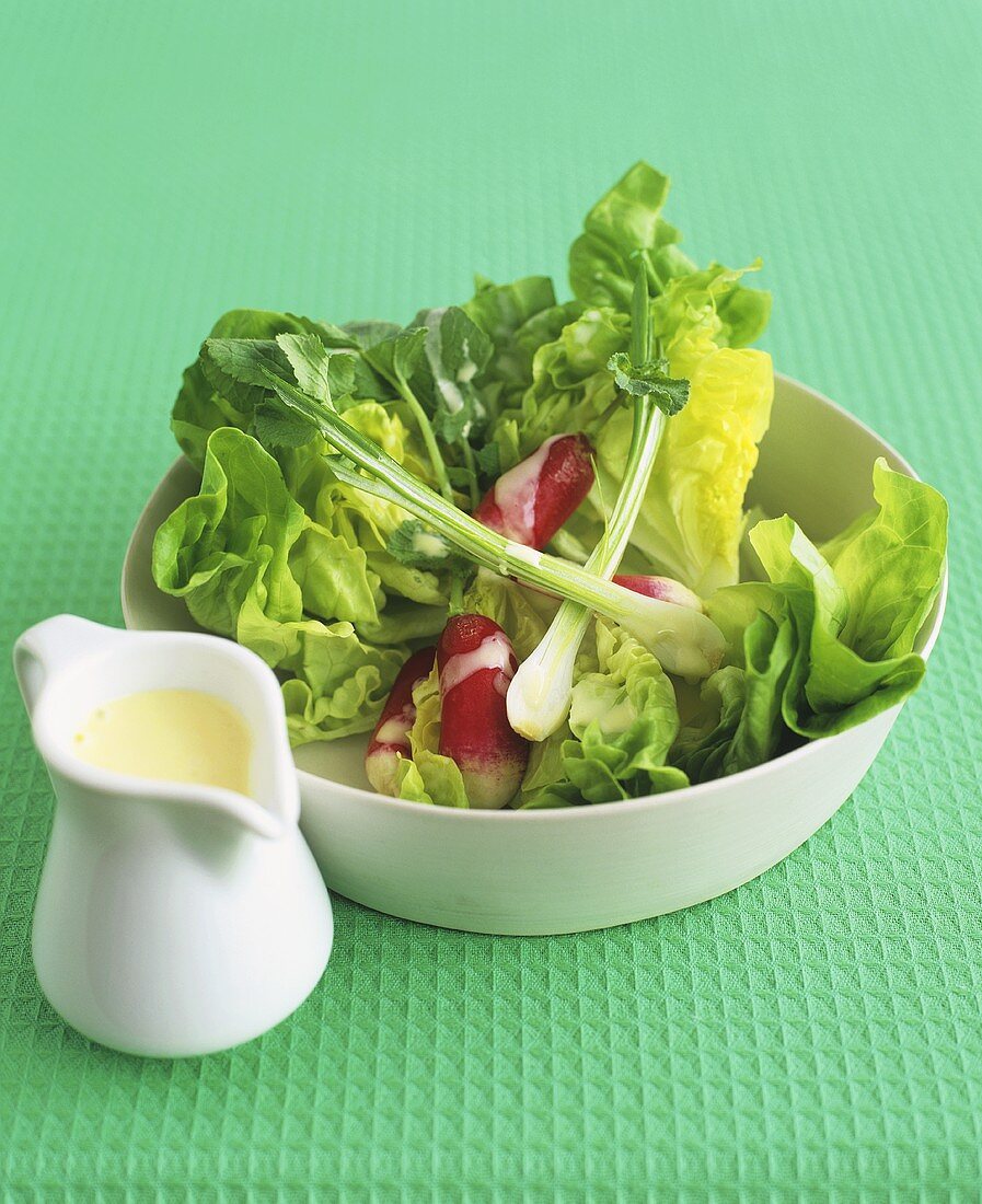 Lettuce with spring onions, radishes and dressing