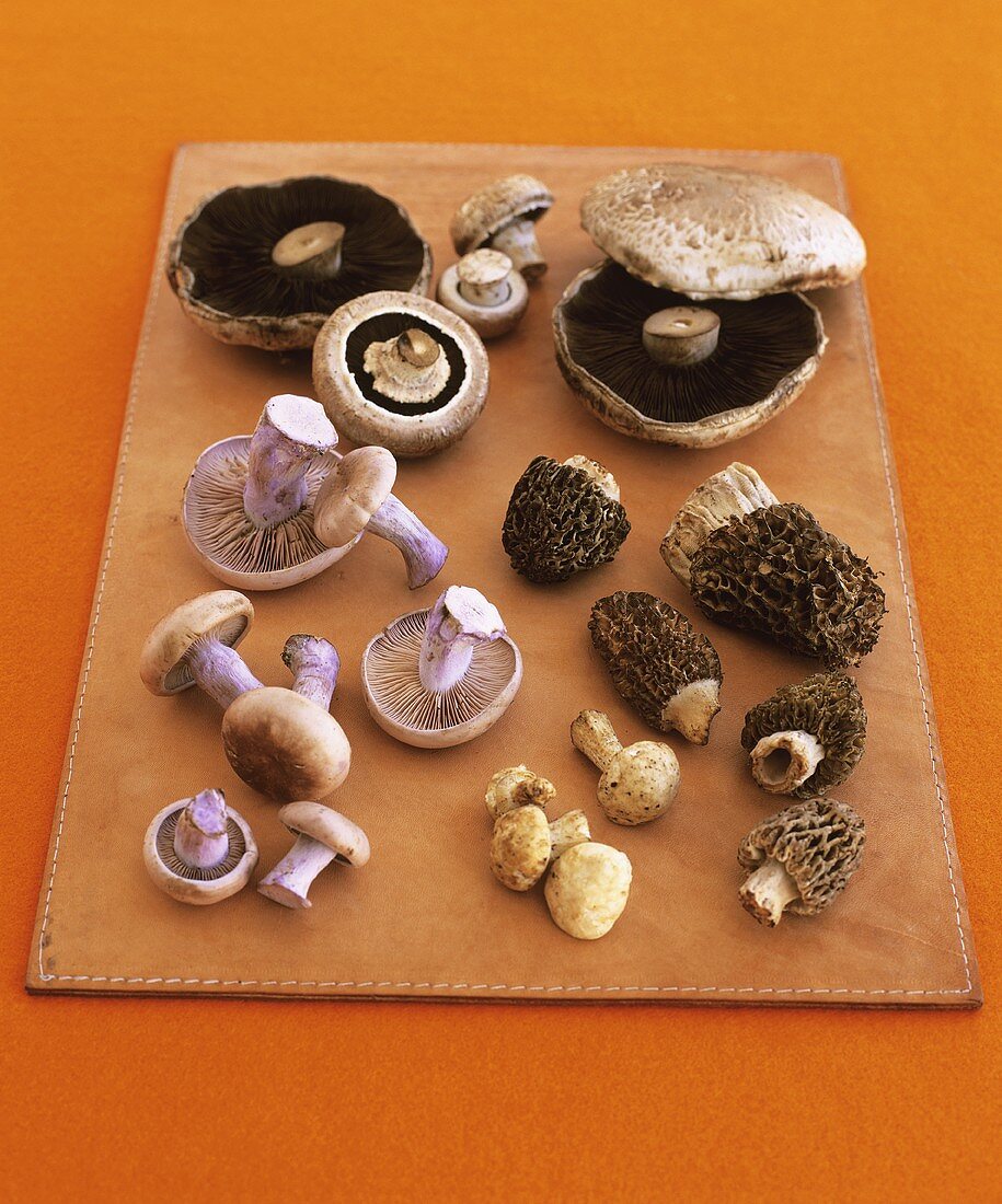 Assorted mushrooms on leather