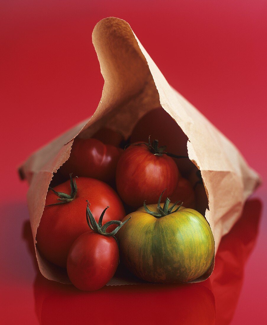 Verschiedene Tomaten in einer umgekippten Papiertüre