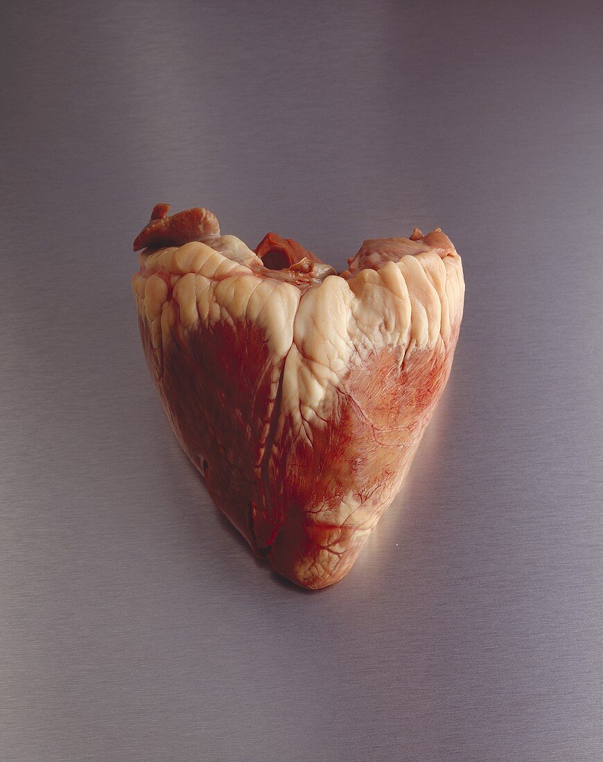 A calf's heart