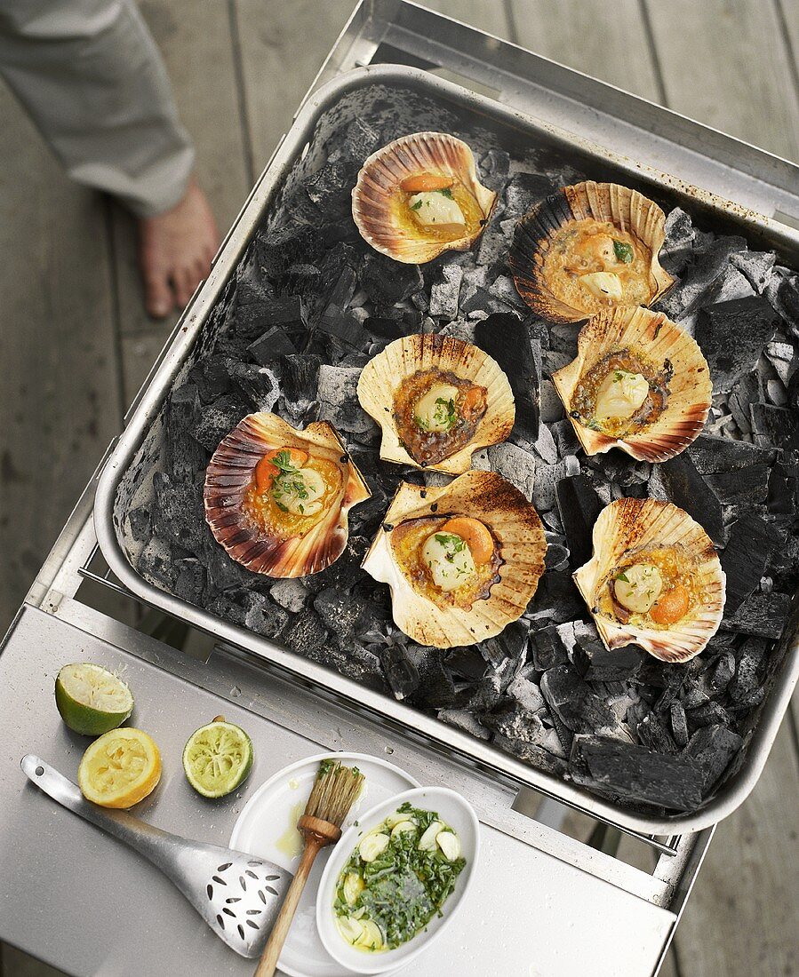 Scallops with herb pesto on charcoal