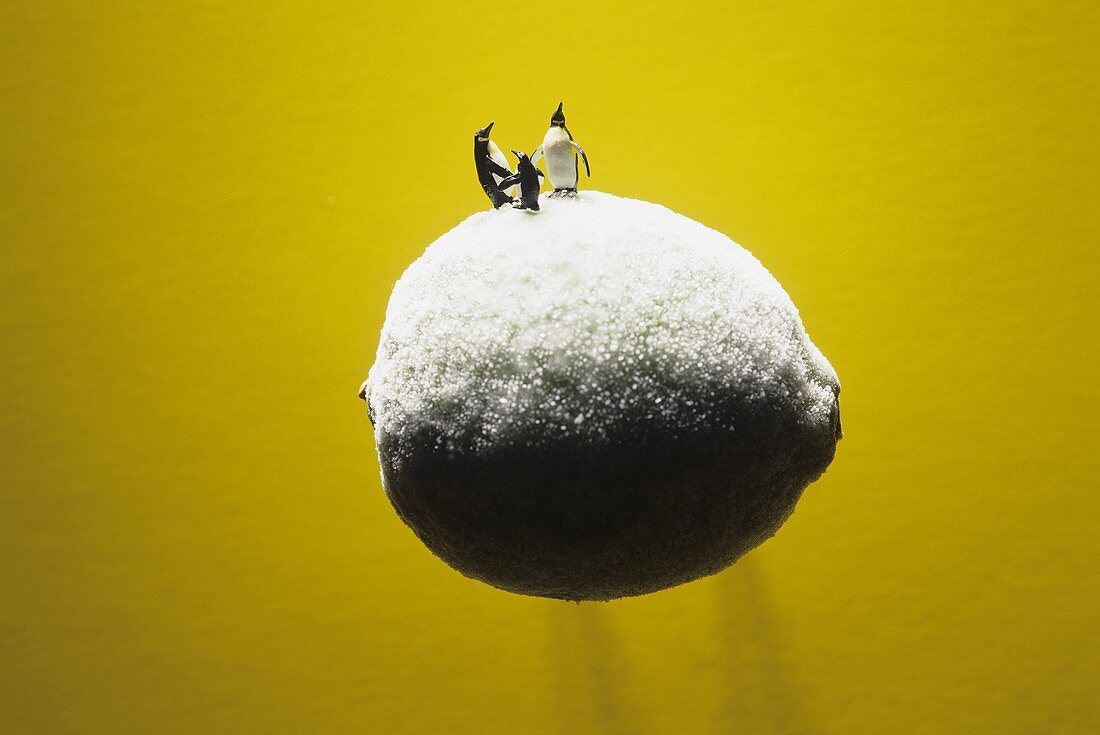 Penguins standing on a frozen lemon