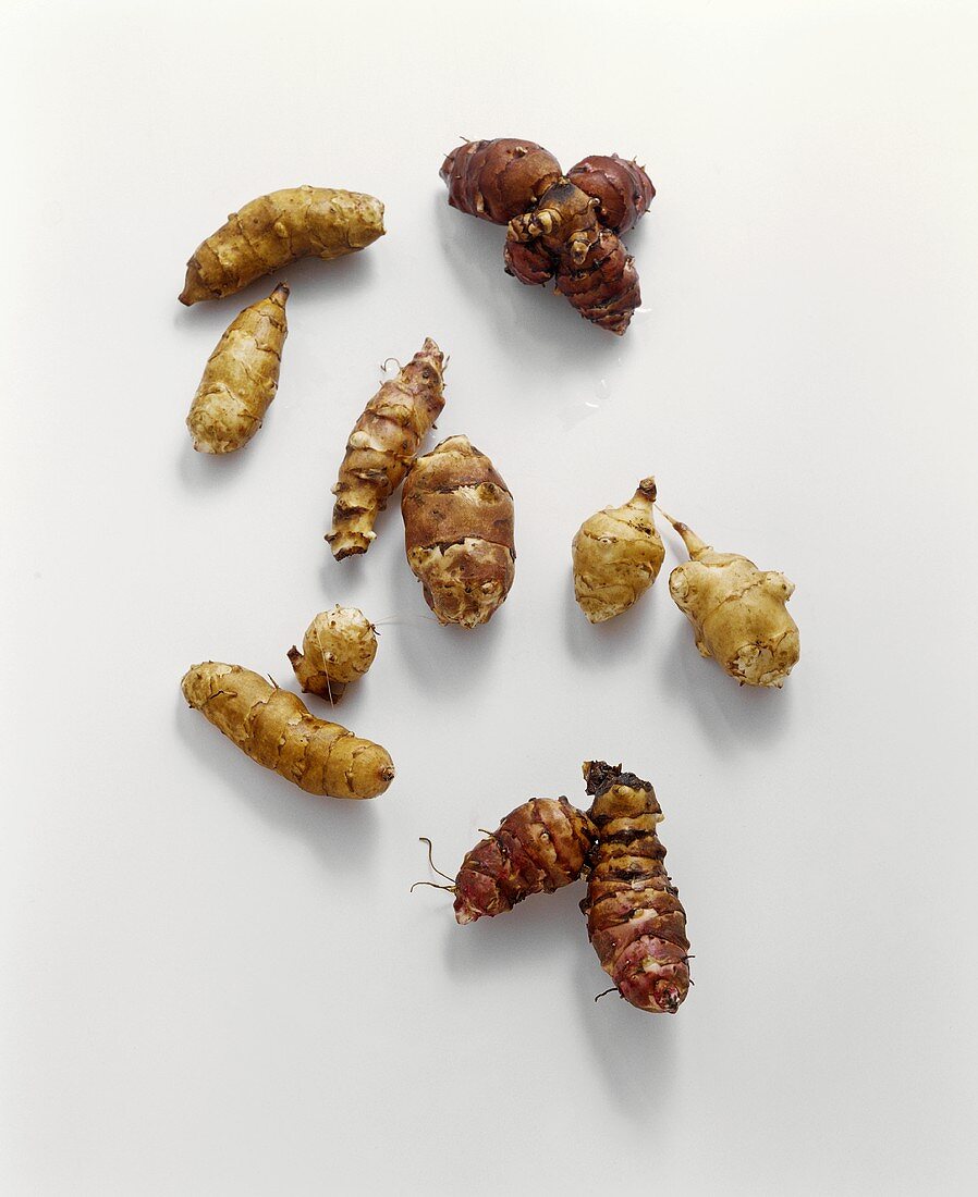 Six different varieties of Jerusalem artichoke