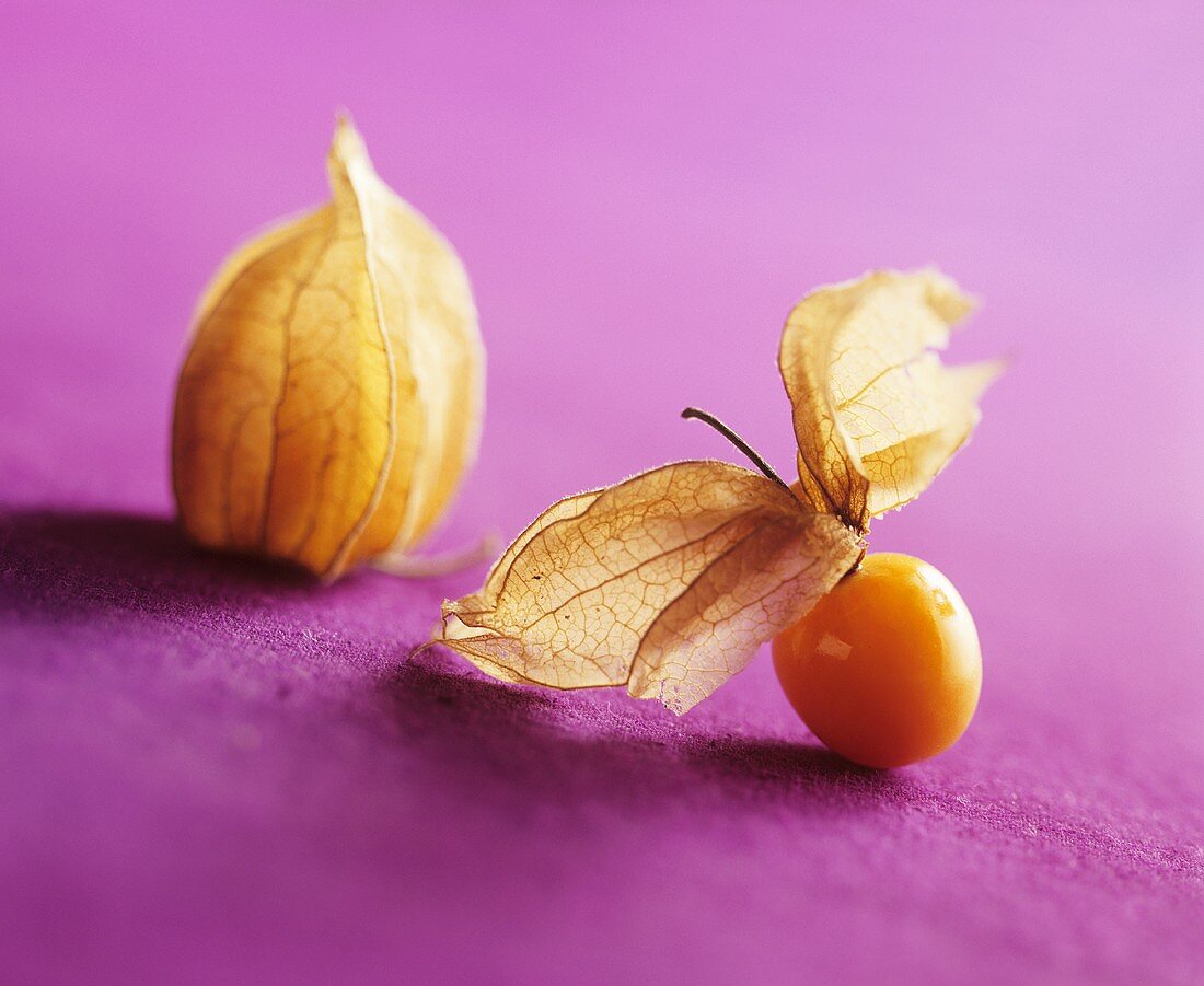 Physalis with closed and opened husk