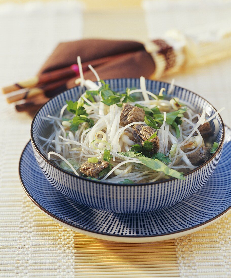 Udon noodle soup with beef and sprouts
