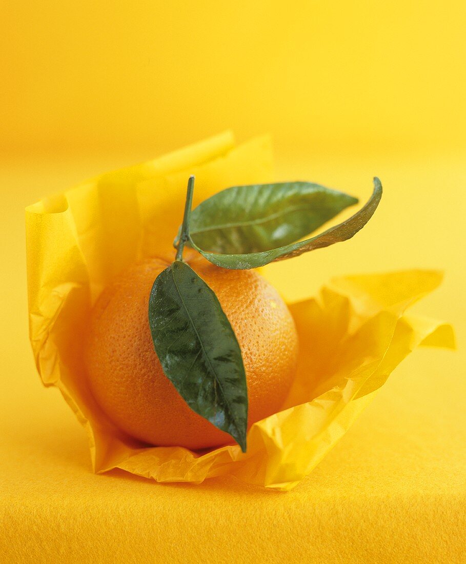 Orange mit Blättern auf Papier