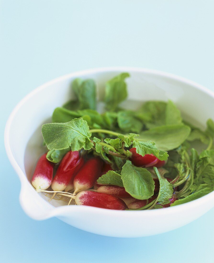 Radishes in a dish of water